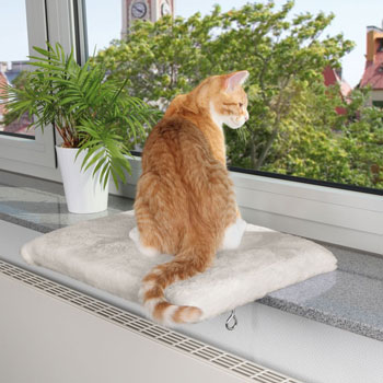 Kattb&auml;dd till f&ouml;nsterbr&auml;da