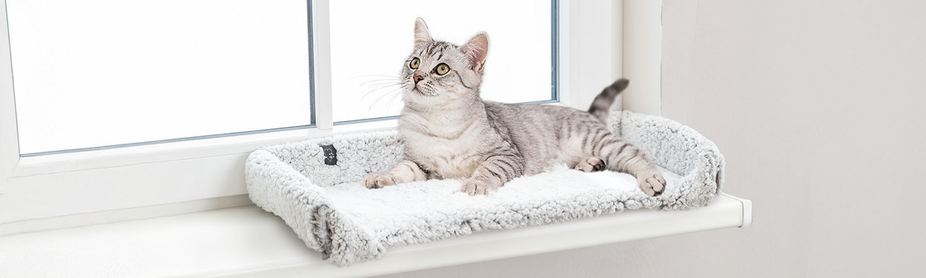 En ljusgr&aring; katt ligger i en fluffig vit kattb&auml;dd p&aring; en f&ouml;nsterbr&auml;da, perfekt som bekv&auml;m viloplats inomhus