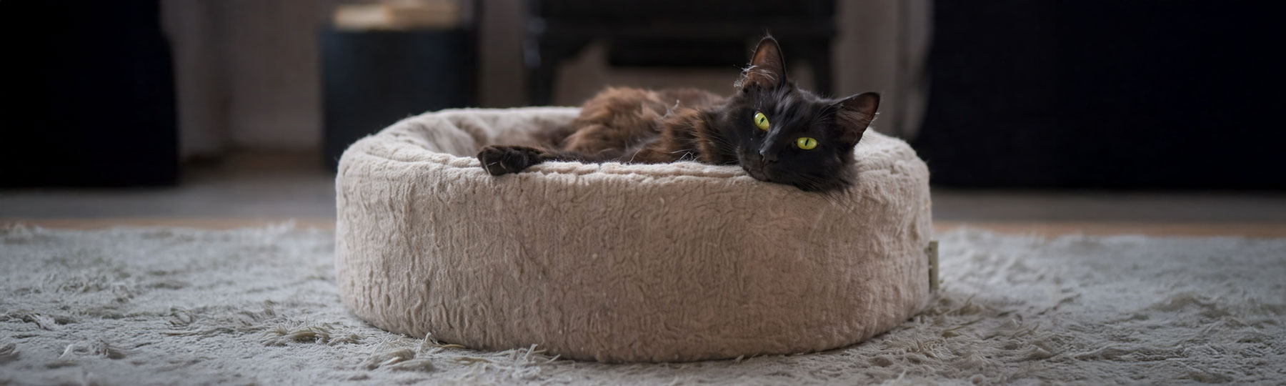 En svart katt ligger avslappnat i en mjuk, rund b&auml;dd med avtagbart &ouml;verdrag som g&aring;r att tv&auml;tta i maskin.