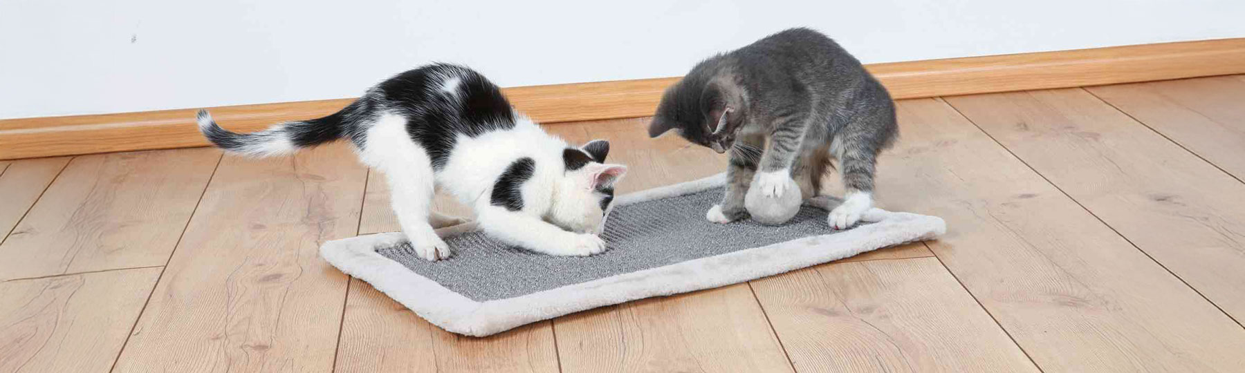 Tv&aring; kattungar leker och kl&ouml;ser p&aring; en rektangul&auml;r kl&ouml;smatta som ligger p&aring; ett ljust tr&auml;golv.