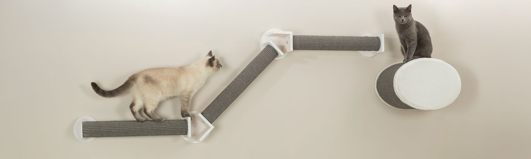 Tv&aring; katter r&ouml;r sig p&aring; v&auml;ggmonterade kl&ouml;sm&ouml;bler med kl&ouml;sytor och en rund viloplats p&aring; en ljus v&auml;gg.