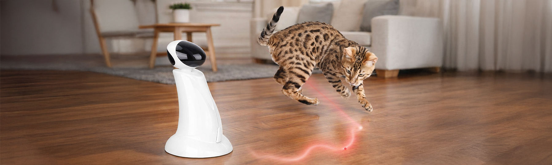 En katt springer och hoppar efter en r&ouml;d laserstr&aring;le fr&aring;n en vit elektronisk kattleksak i hemmet