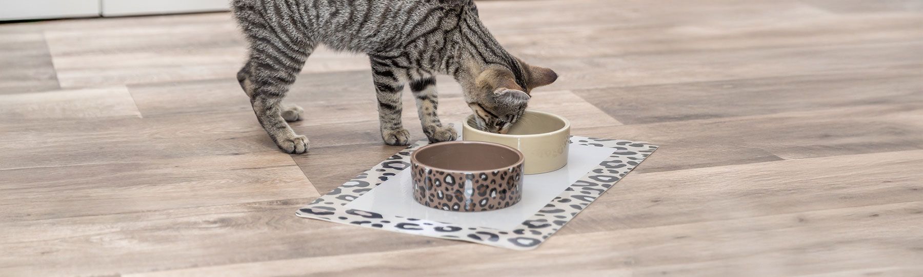 En katt st&aring;r vid tv&aring; sk&aring;lar p&aring; ett underl&auml;gg som skyddar golvet vid kattens matplats.
