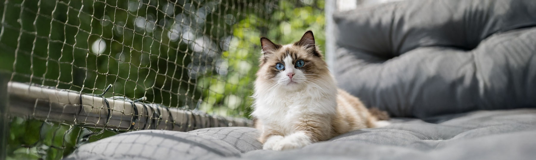 Kattn&auml;t monterad p&aring; balkong