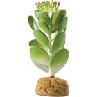 Exo Terra Ökenväxt Suckulent