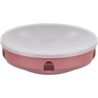 Cat Activity Rocking Maze