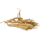JR Farm Persiljerötter 50g