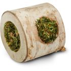 JR Farm Trästam Persilja 100g