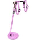 Rogz AlleyCat Sele Ljuslila