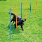 Pawise Agility Slalompinnar