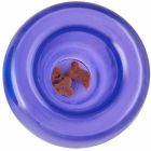 Planet Dog Orbee-Tuff Snoop Mini