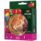 Vita Line Lunchskål Papegoja