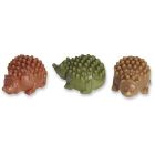 Antos Dentotugg Igelkott