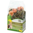 Grainless Maskros & Salvia Mix