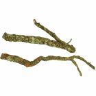 Klättergrenar Korkek