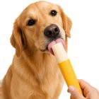 Hundglass Ice Lollie