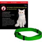 Petwise Fästinghalsband Katt