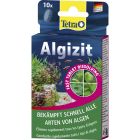 Tetra Algizit 10 tabletter