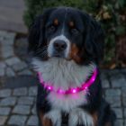 Flash Light Band USB Rosa