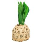 Smådjursleksak Ananas av bambu