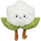 Kattmynta Leksak Blomkål XXL