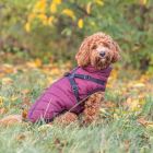 Vintertäcke Pirou Vinröd