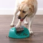 Dog Spin N' Eat Puzzle