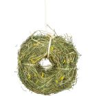 JR Farm Hökrans Maskros 100g