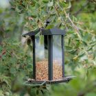 Vildfågelmatare Lykta