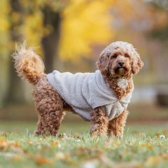 Trixie. Hoodie Carson Sand. Lätt och smidig hundtröja med huva. 