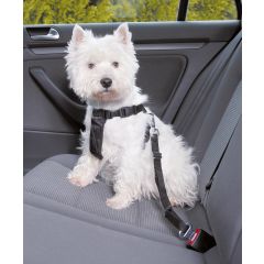 Säkerhetssele för hund i bil
