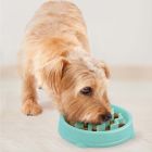 Fun Feeder Slo Bowl Mint S