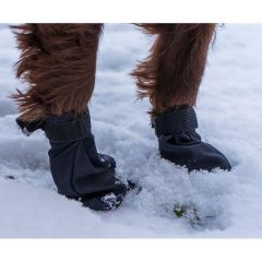 Hundsockar Lättvikt 4-p XXS