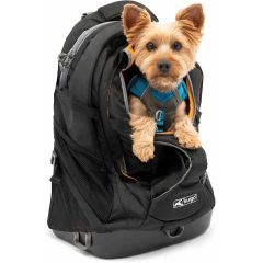 Kurgo. Kurgo Ryggsäck G-Train Svart. Robust och stötsäker ryggsäck till husdjur.