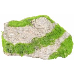 Zolux. Kipouss Grey Stone Seeds. Läcker akvariesten som innehåller levande växtfrön.