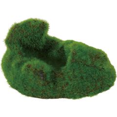 Zolux. Kipouss Stone Plant Seeds. Läcker akvariedekoration som innehåller levande växtfrön.