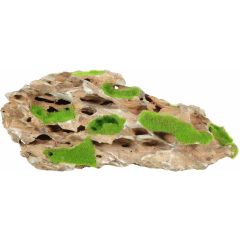 Zolux. Kipouss Yellow Stone Seeds S. Läcker akvariesten som innehåller levande växtfrön.