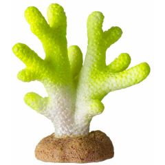 Ozami. Dekoration Korall Lime/Vit 5 cm. Dekorativ korall med skiftande färgtoner i lime och vitt.
