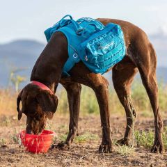 Kurgo Collaps-A-Bowl Röd 710ml. Smart och ultrakompakt hundskål. 