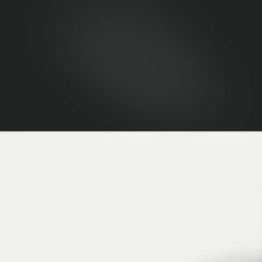 Juwel Aquarium. Bakgrund Poster 3. Dubbel akvariebakgrund i svart och vitt. 