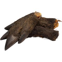 Ozami. Naturtugg Vildsvinsfot 10-pack. Torkade vildsvinsfötter med päls. 