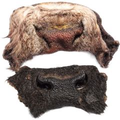 Ozami. Naturtugg Oxmule 1kg. Naturligt hundtugg med oxmule. 