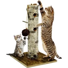 JR Farm. Naturligt Aktivitetsträd Katt. Aktivitetsträd med naturlig björkbark.