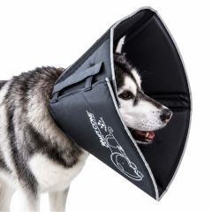 Comfy Cone Halskrage. Skyddande och bekväm med reflex.
