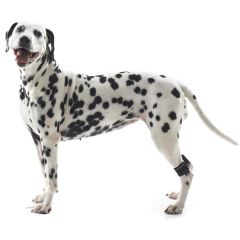 ReDog Viktmanschett 2p XS