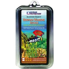 Bruna havsalger för betande saltvattensfiskar