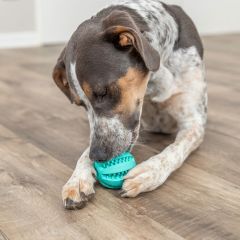 DENTAfun Boll Mint 5