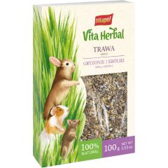 Vitapol. Gnagargräs Korn 100g. Färskt och vitaminrikt gräs för smådjur.