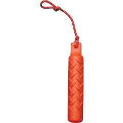 Lär hunden att bära saker försiktigt