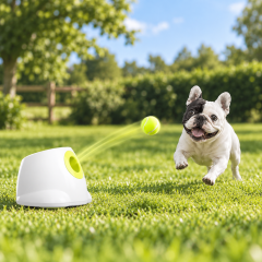 Bollkastare Mini Ball Launcher